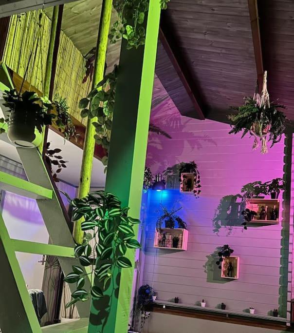 Jungle Style Lodge With Jacuzzi ,Sauna And Garden Near Amsterdam Vijfhuizen ภายนอก รูปภาพ